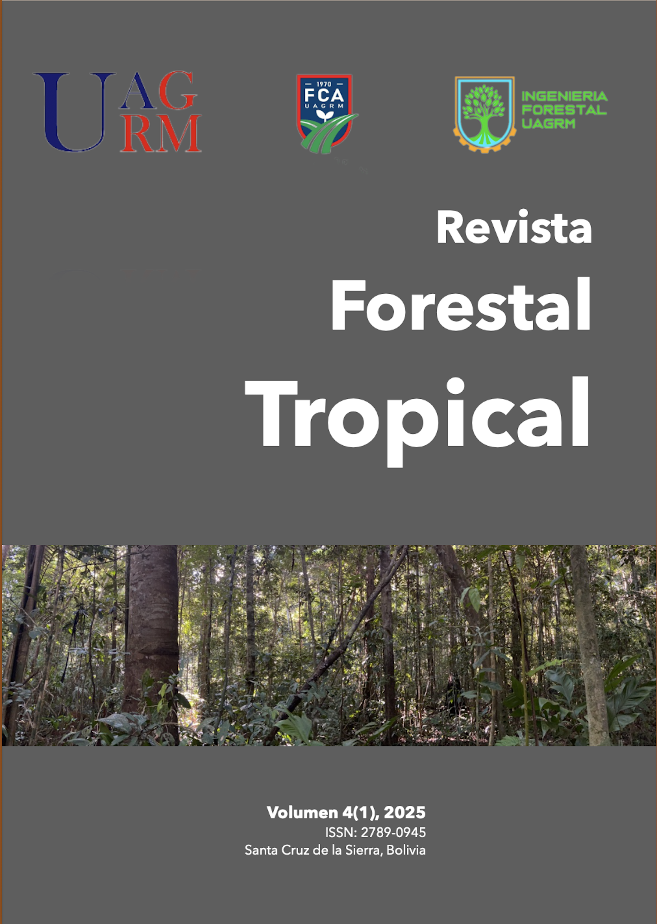 Foto: Bosque tropical húmedo en la Amazonía boliviana