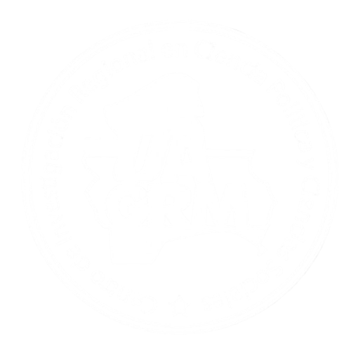 Logo del Centro de Investigación Regional en Ciencia Política y Ciencias Sociales